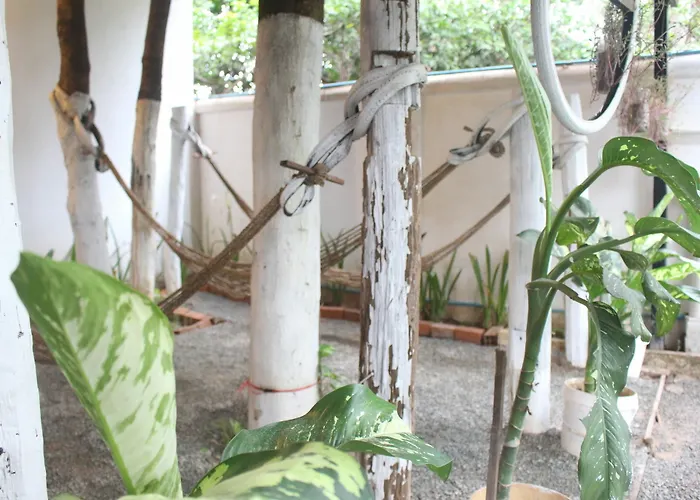 Eco-home Hostel Siem Reap