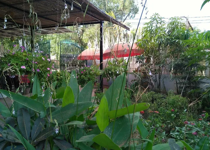 Eco-home Siem Reap