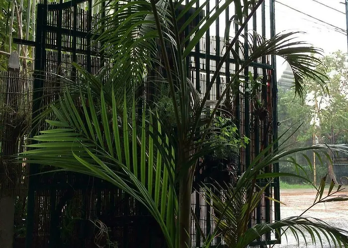Hostel Eco-home Siem Reap